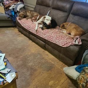 Meet your Posher, Tina